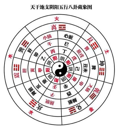 八卦对应五行|八卦与五行的关系 八卦与五行的对应关系